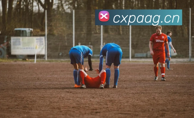 华体会综合体育登录服务体系